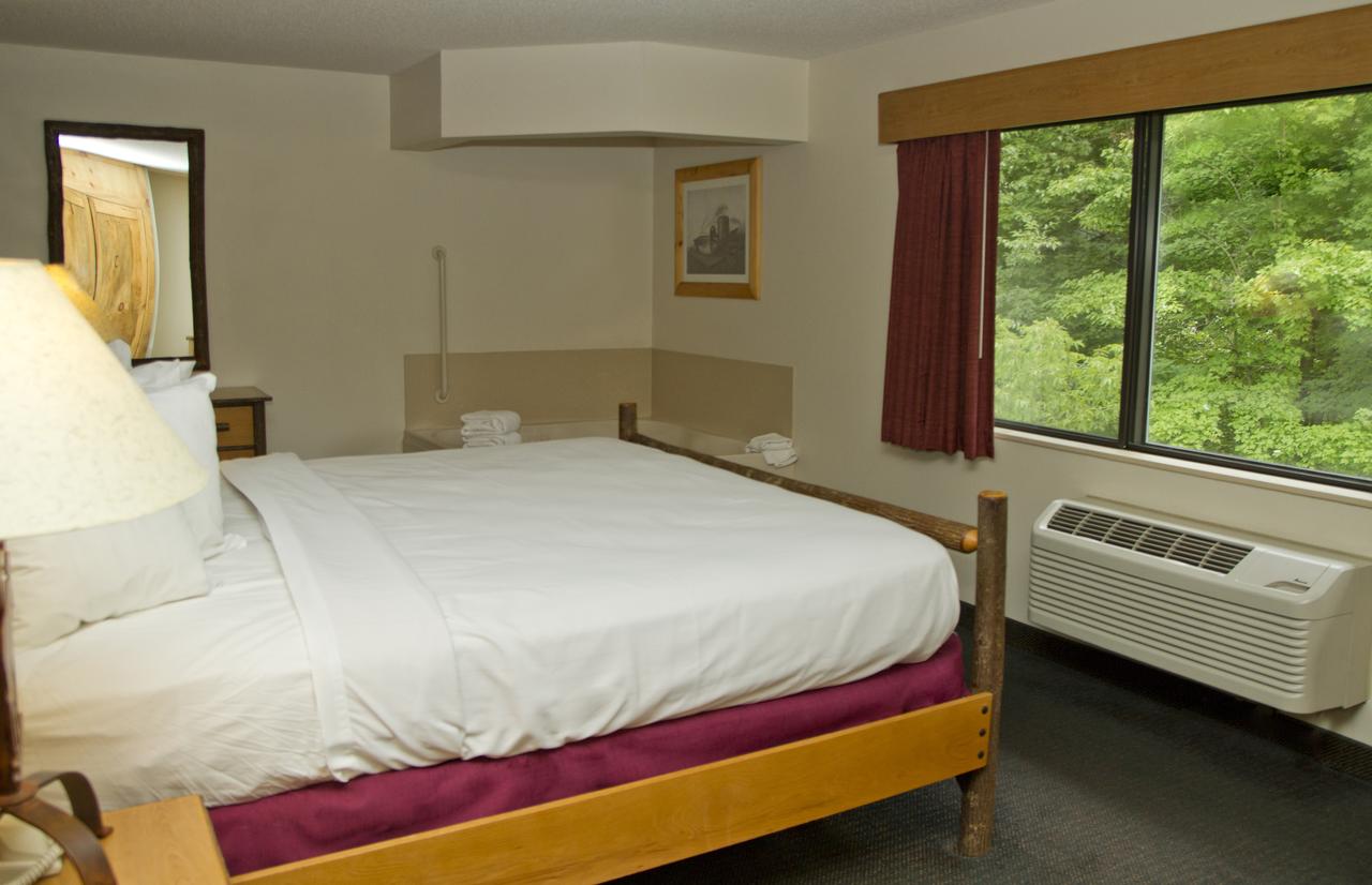 AmericInn By Wyndham Wisconsin Dells - thumb 20