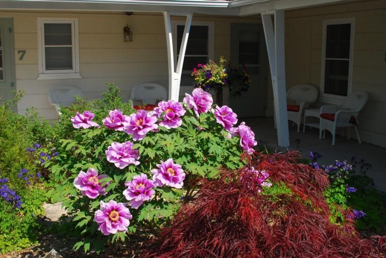 Peninsula Park-View Resort - thumb 30