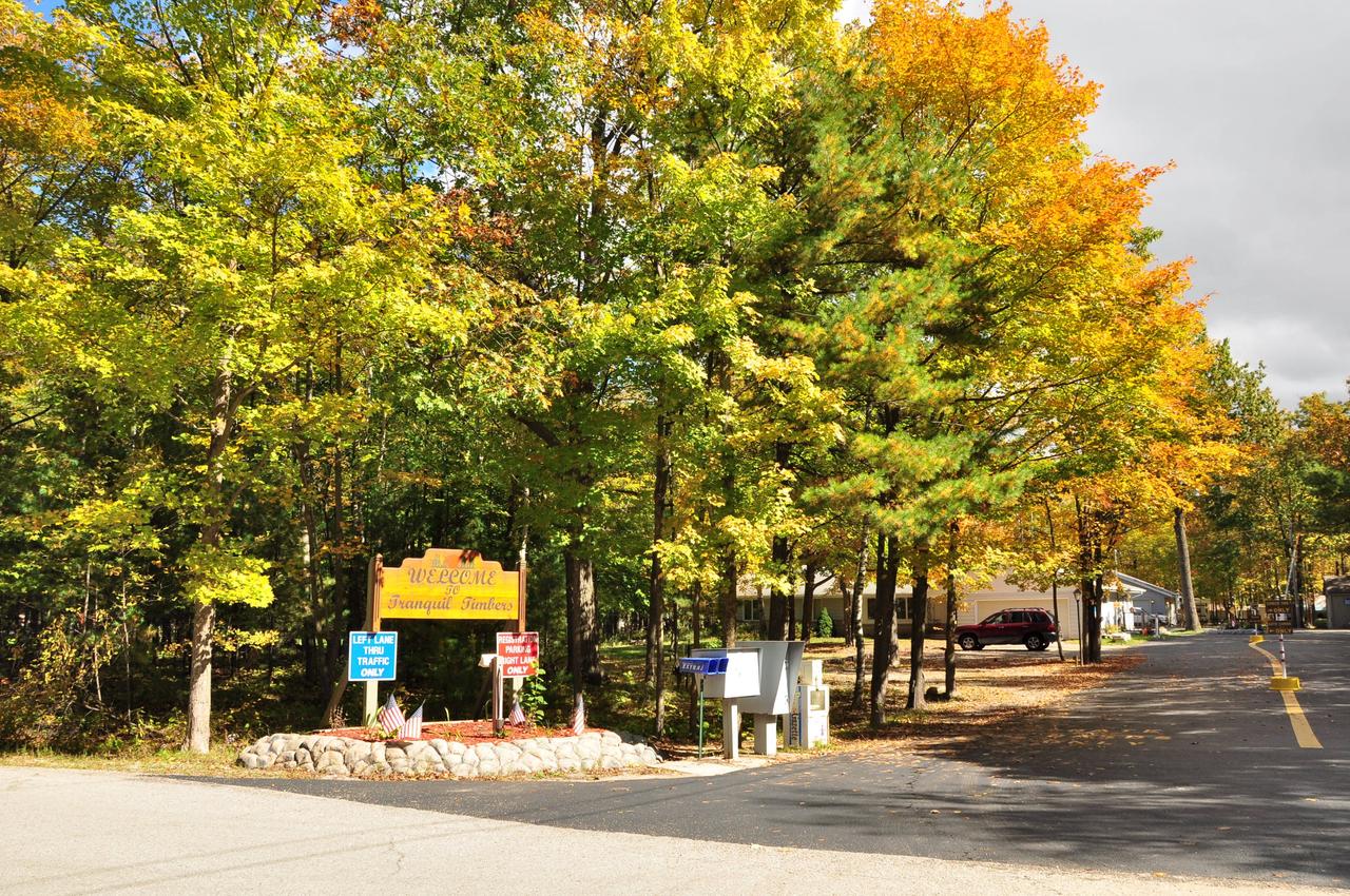 Tranquil Timbers Cabin 11 - thumb 4