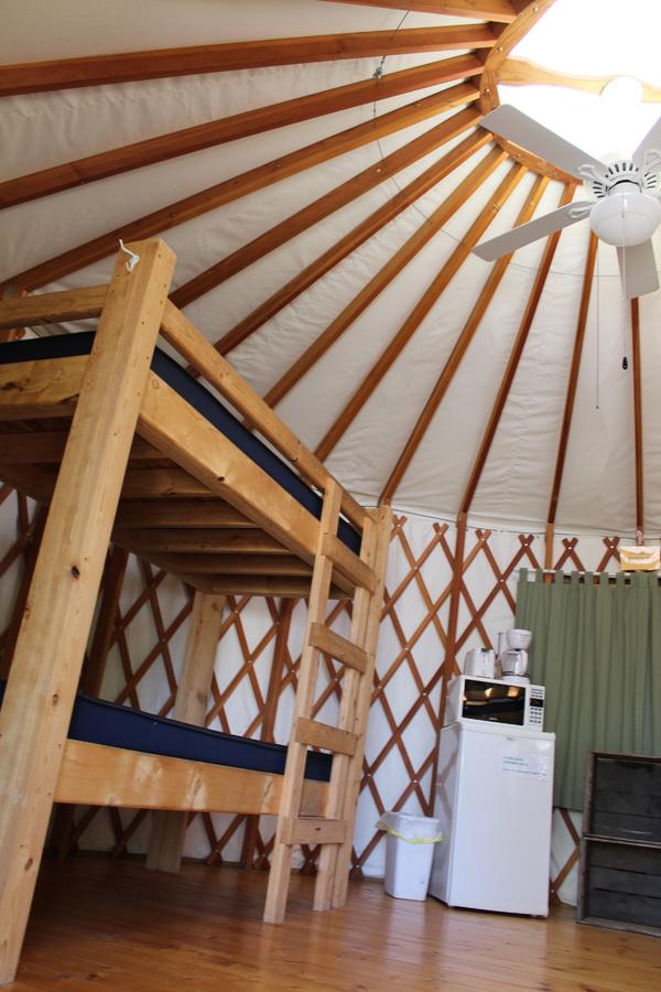 Tranquil Timbers Yurt 3 - thumb 1