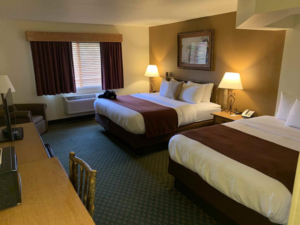 AmericInn By Wyndham Cody - thumb 12