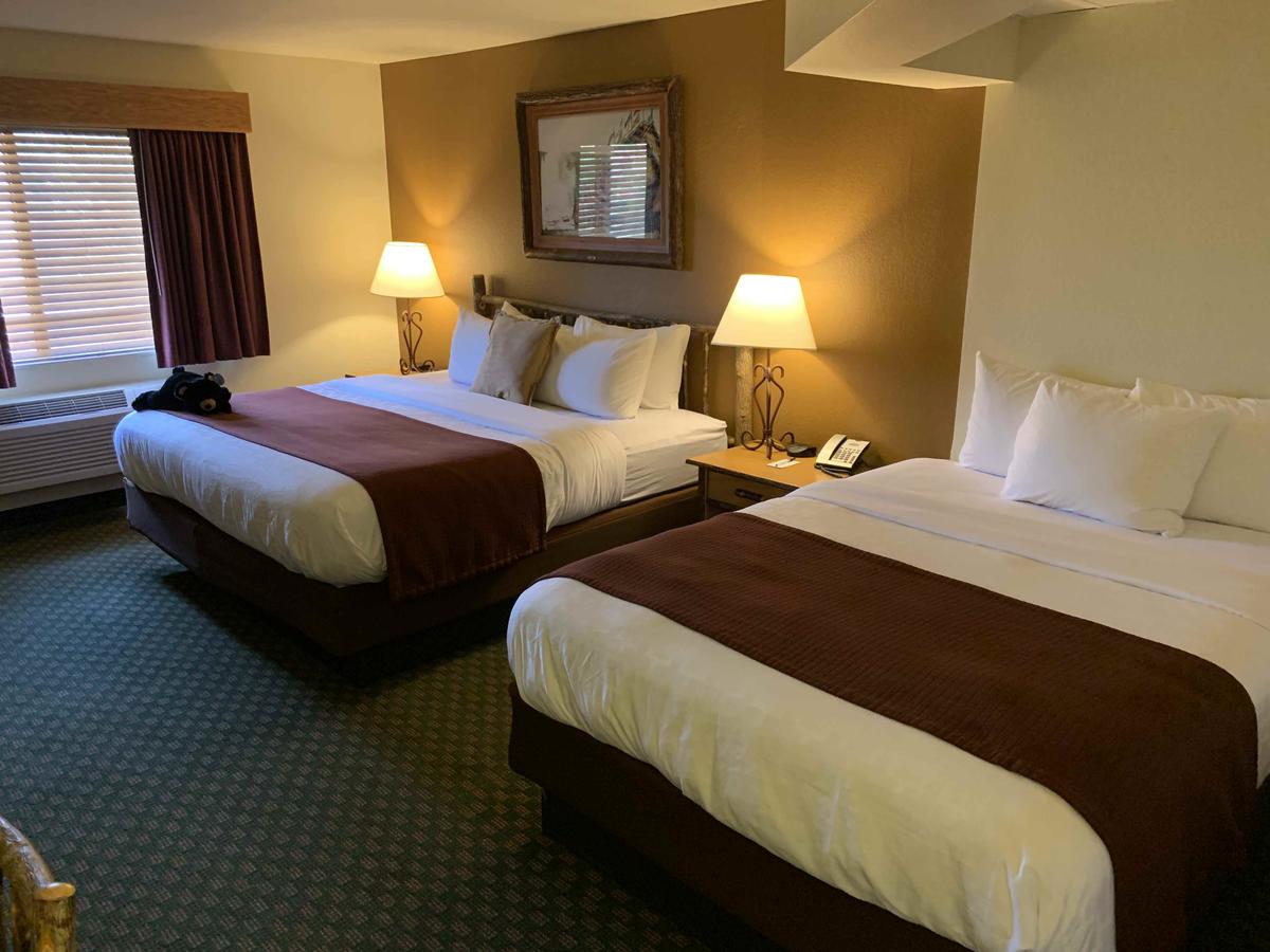 AmericInn By Wyndham Cody - thumb 16