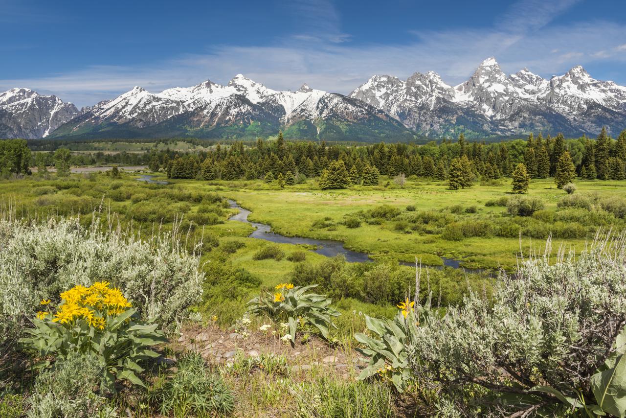 SpringHill Suites By Marriott Jackson Hole - thumb 16