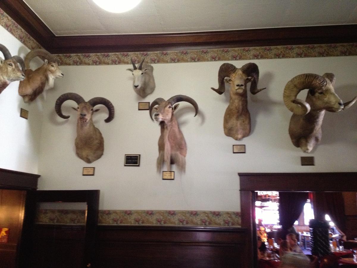 Irma Hotel - thumb 26