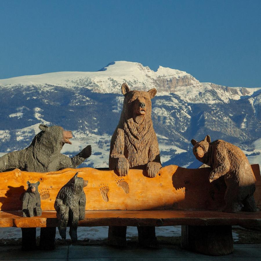 Snake River Lodge & Spa - thumb 6