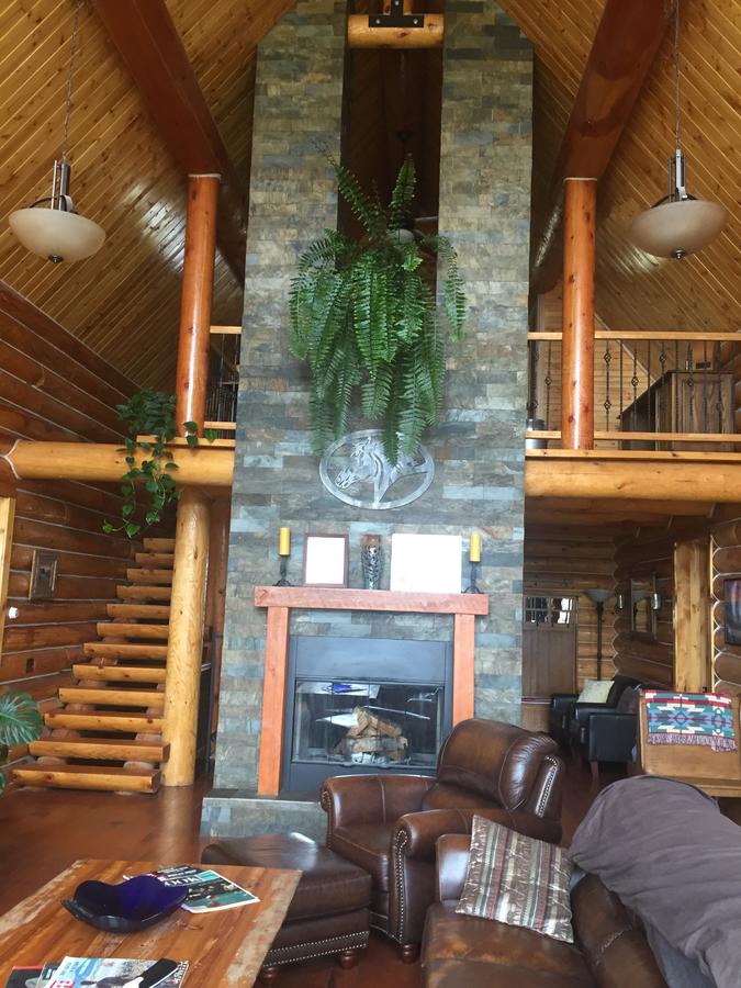 Log Ranch Home & Horse Boarding - thumb 8
