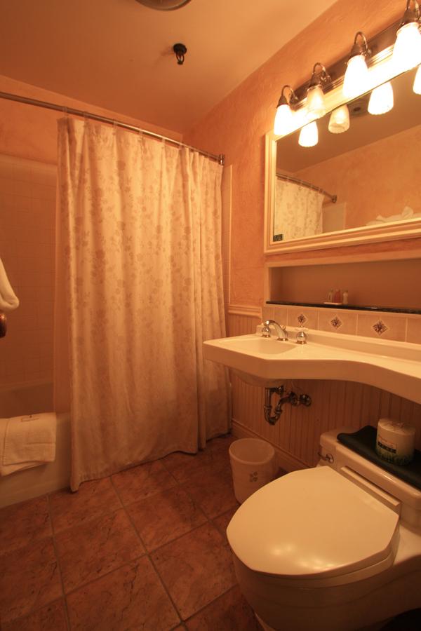 The Alpenhof - thumb 17