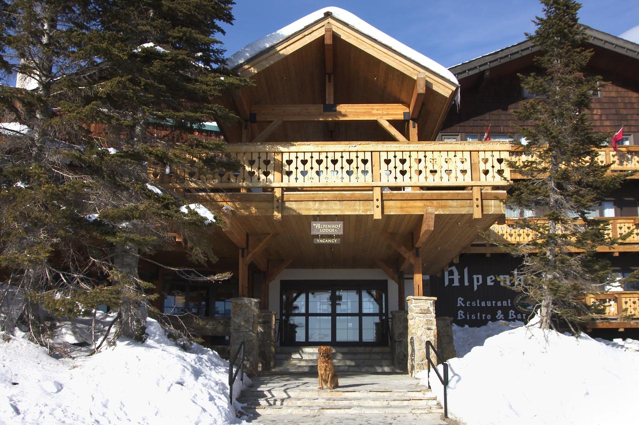 The Alpenhof - thumb 20