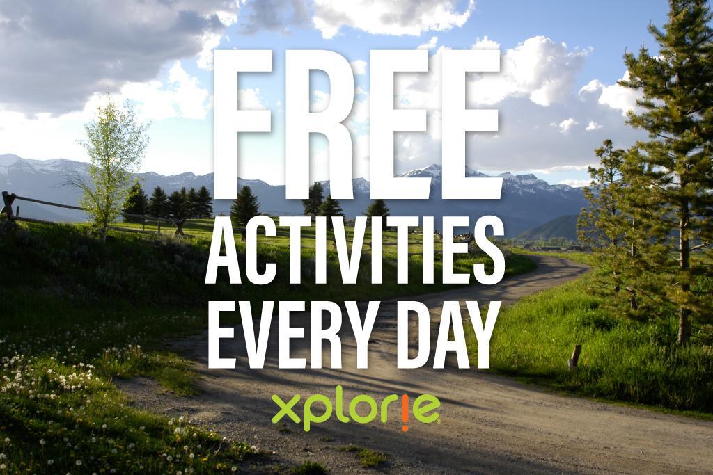 Cody House D - thumb 12