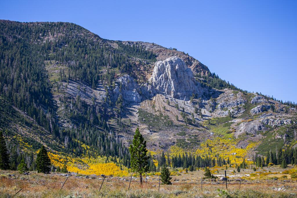 453 - Luxurious Family-Friendly Mountain Getaway With Stunning Views! - thumb 1