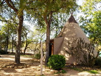 5 Yellow Flower - Tipis on the Guadalupe Tourism Bookings