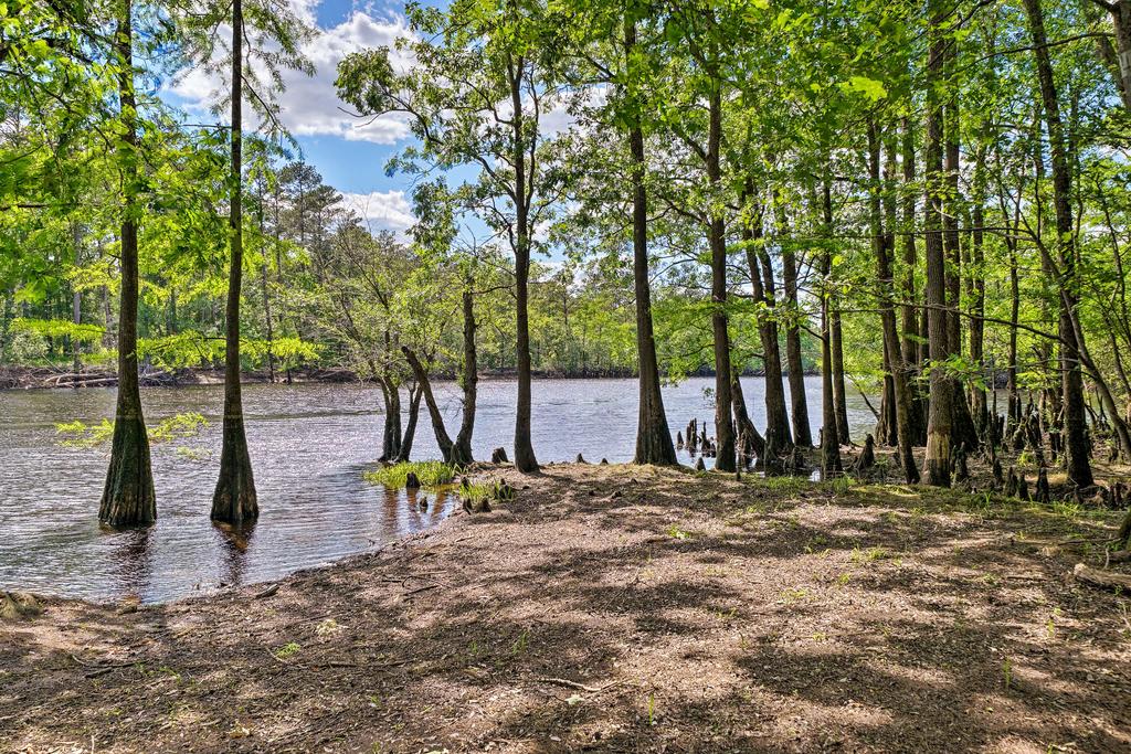 'Beatty's Bluff' Backing Up To Black River! - thumb 3