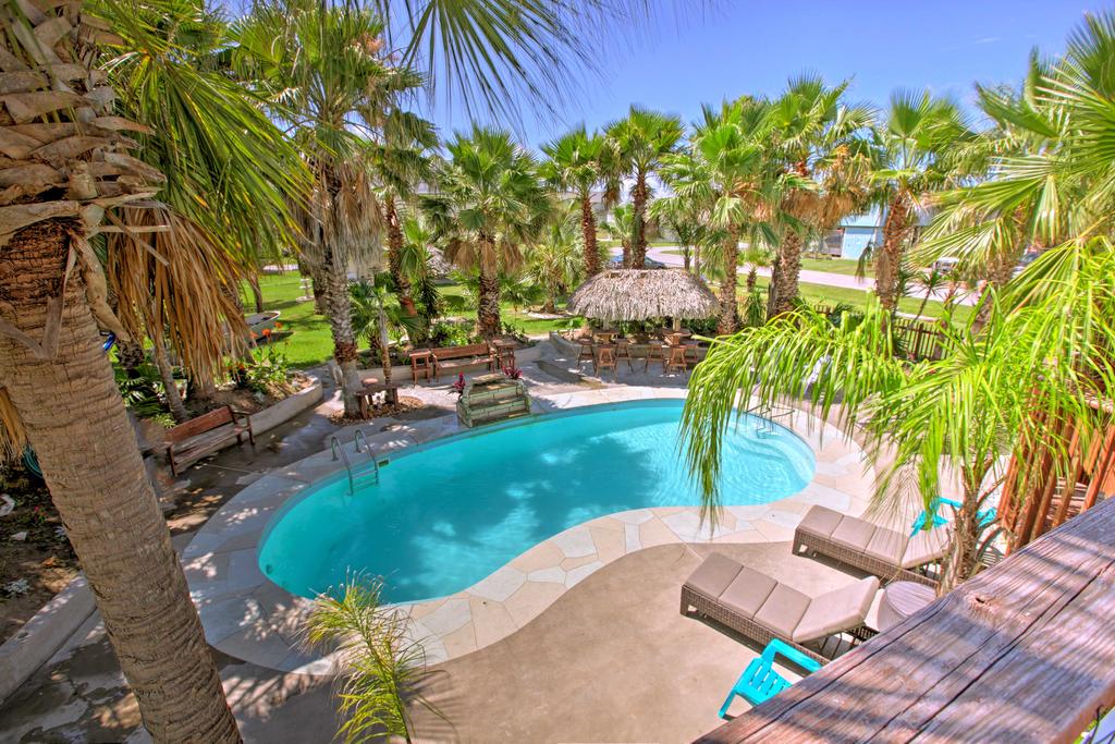 'Under The Palms'- Galveston Home With Private Pool! - thumb 1