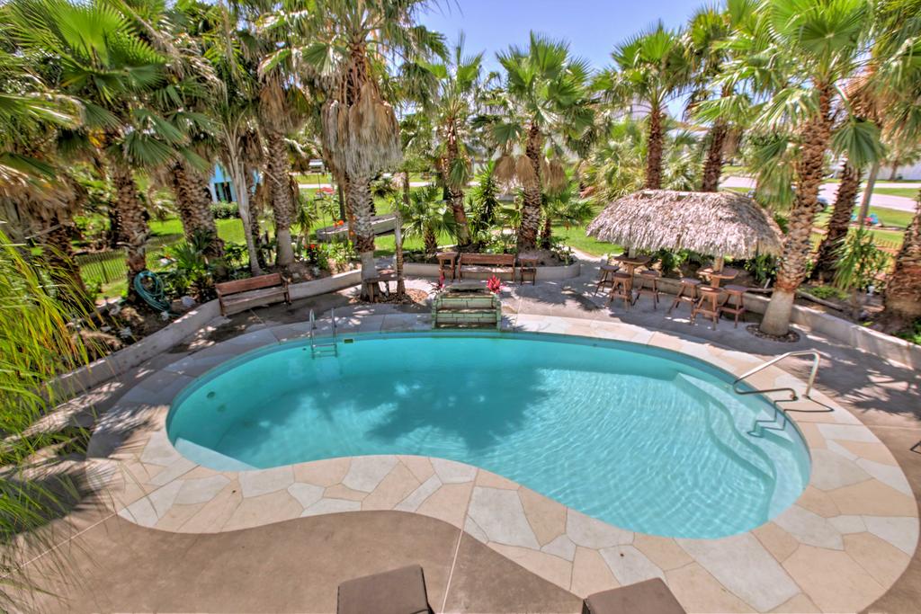 'Under The Palms'- Galveston Home With Private Pool! - thumb 0