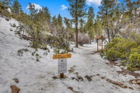 027 Gold Mtn cabin Tourism Bookings
