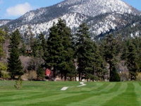 080 Moonshadows Log Home Tourism Bookings