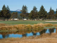 1 Kitty Hawk Tourism Bookings