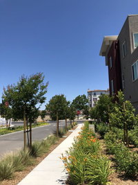 Book Dublin Hotels, USA Accommodation USA Accommodation