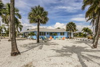 100 Mid Island - MidIsland Dream Tourism Bookings