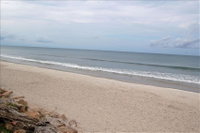 103 Oc Home Tourism Bookings