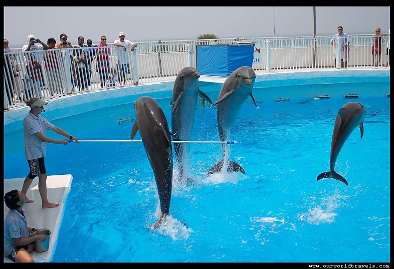 2465 Bungalo Home - thumb 1