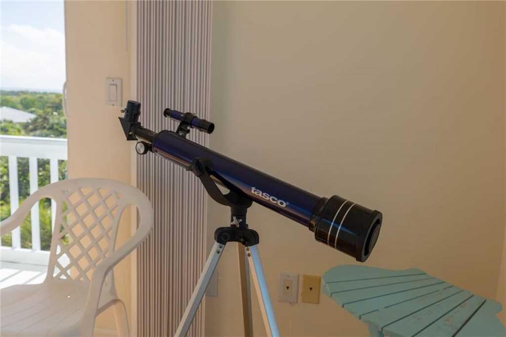 272 - Island Behavior - thumb 1