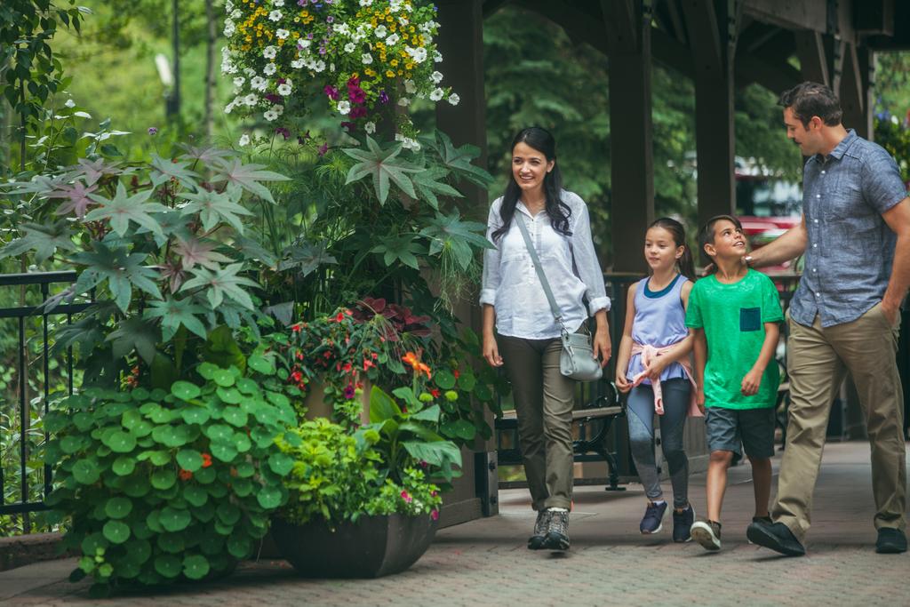 2Br- Beautiful Ski Retreat In Arrowhead Village Condo - thumb 3