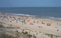 401 East Point Tourism Bookings