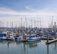  Marbella Lane Seaside Retreat Walk to the Beach - Tourism Bookings