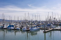 Book Half Moon Bay Hotels, Tourism Bookings Tourism Bookings