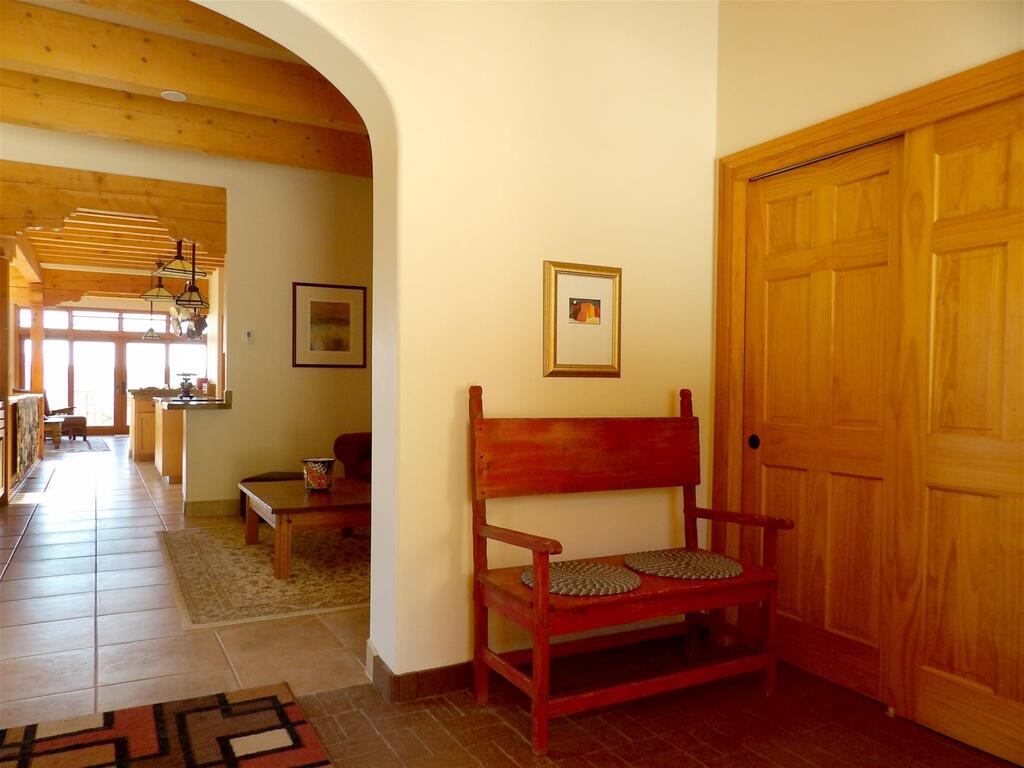 A Bella Vista Bristlecone - thumb 1