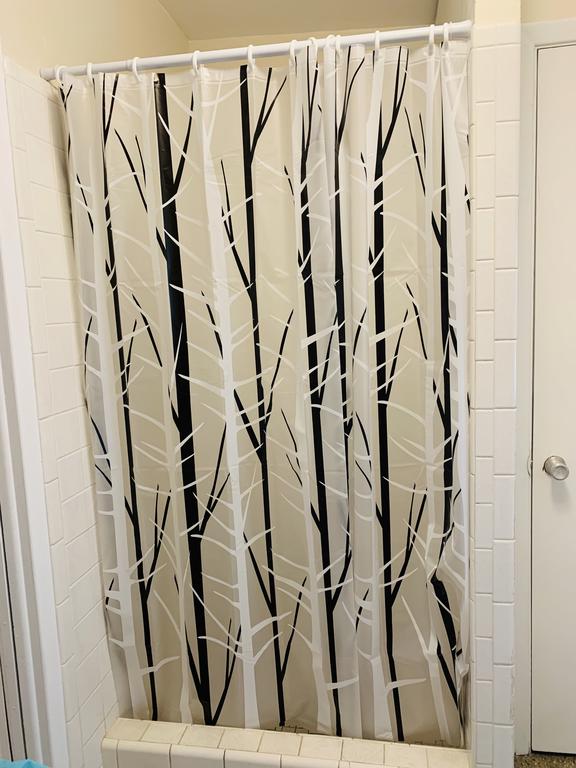 A Great House Close To Clearwater And Belleair Beach - thumb 3