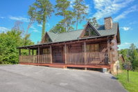 A Hibernation Station Tourism Bookings