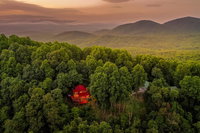A Peach Of A View Tourism Bookings