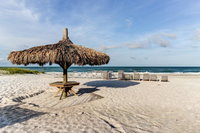 A Place in Paradise USA Accommodation