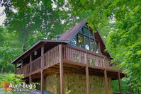 A Secluded Retreat 216 by Aunt Bugs Cabins Tourism Bookings