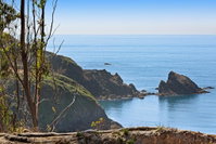 Book Albion Hotels, Tourism Bookings Tourism Bookings