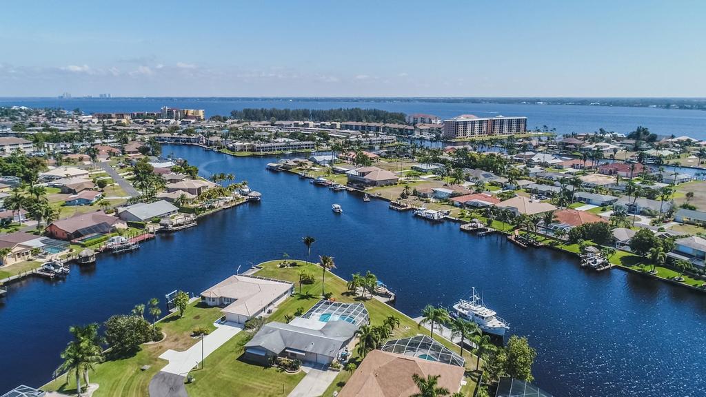 All About The Dolphins, Cape Coral - thumb 0