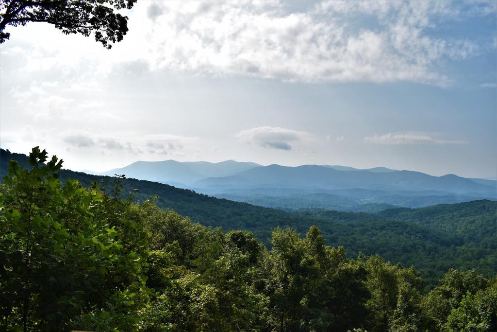 All About The View - thumb 1
