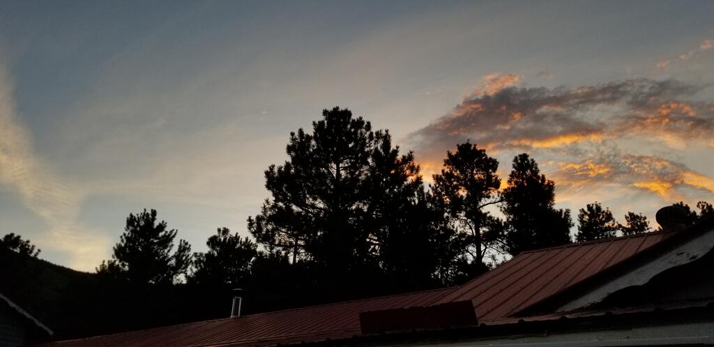 Alpine Moose Lodge - thumb 3