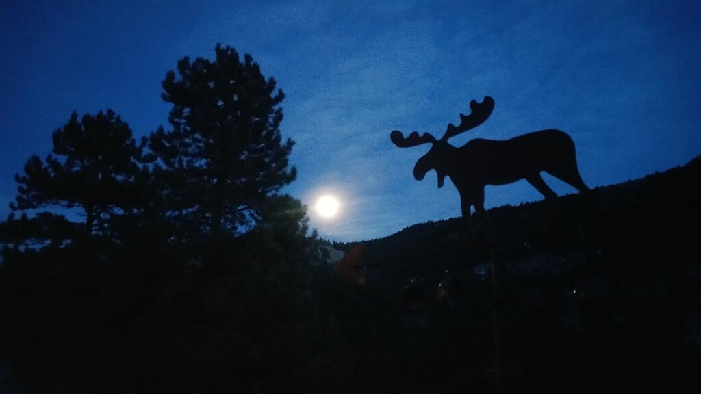 Alpine Moose Lodge - thumb 2