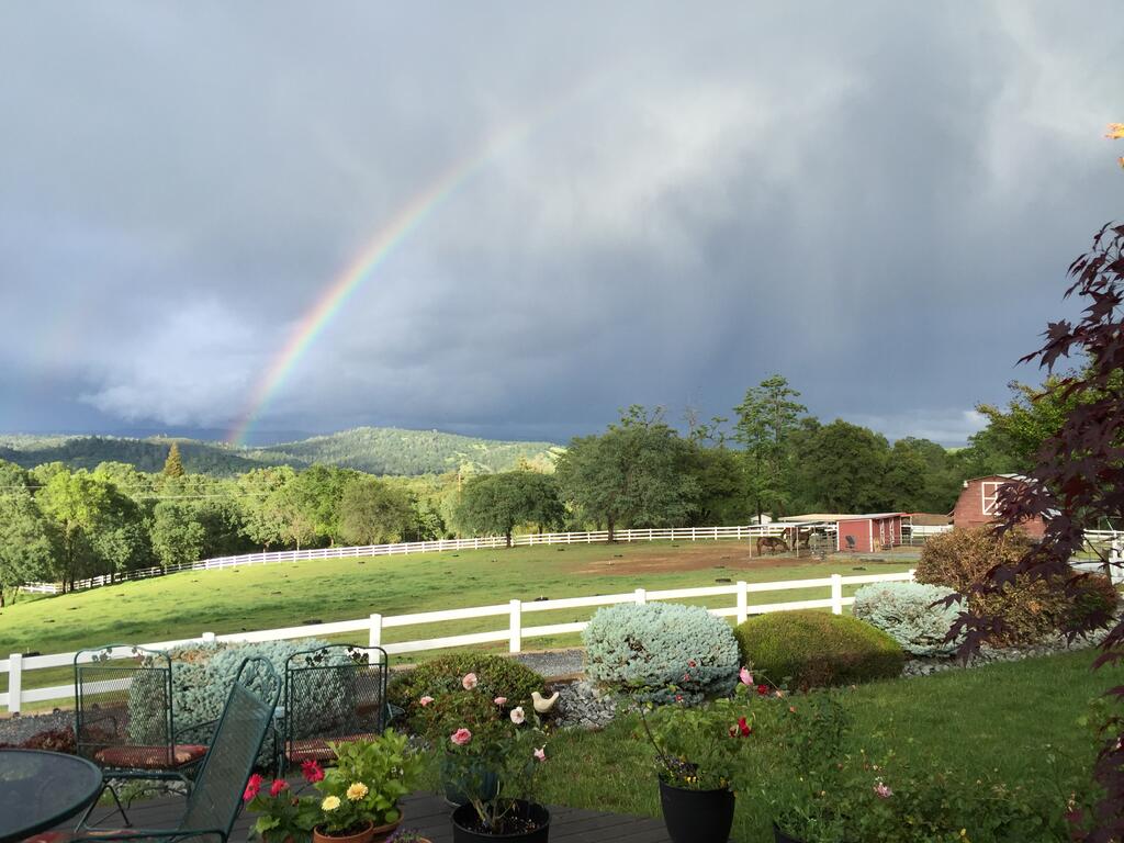 Amazing & Private Loft On Horse Ranch - thumb 1