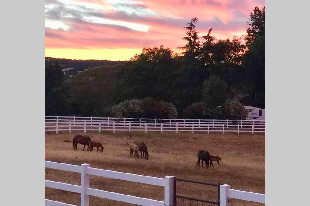 Amazing & Private Loft On Horse Ranch - thumb 0