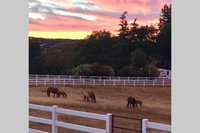 Amazing  Private Loft on Horse Ranch USA Accommodation