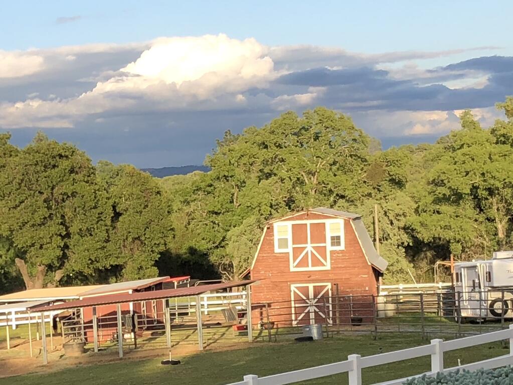 Amazing & Private Loft On Horse Ranch - thumb 3