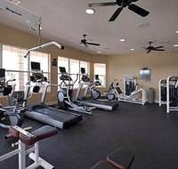 American Dream - Tourism Bookings