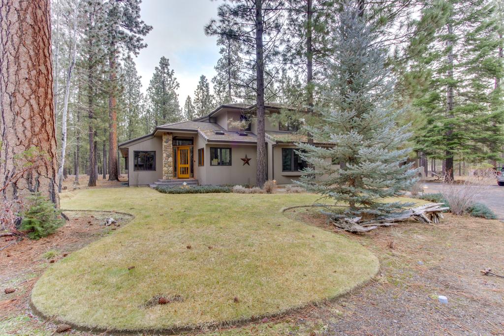 Among The Trees And On The Trails - thumb 3