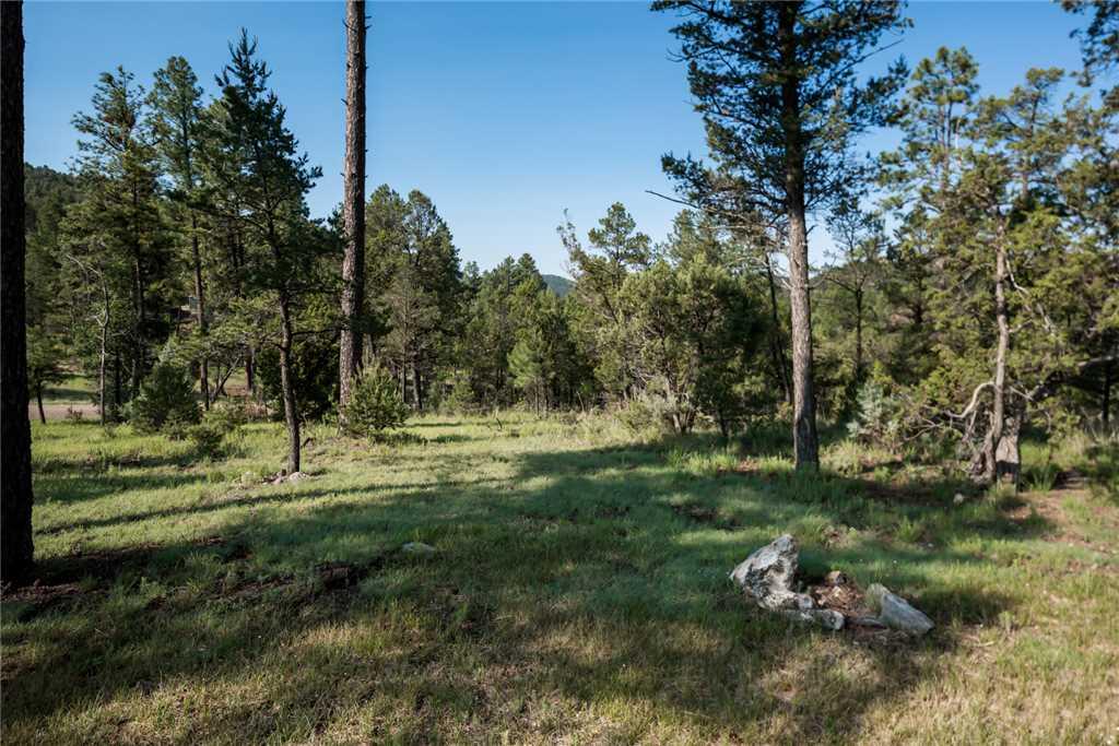 Amy's Little Ponderosa, 3 Bedrooms, WiFi, Decks, Sleeps 6 - thumb 3