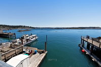 Anchor Pier Lodge Tourism Bookings