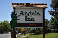 Angels Inn Tourism Bookings